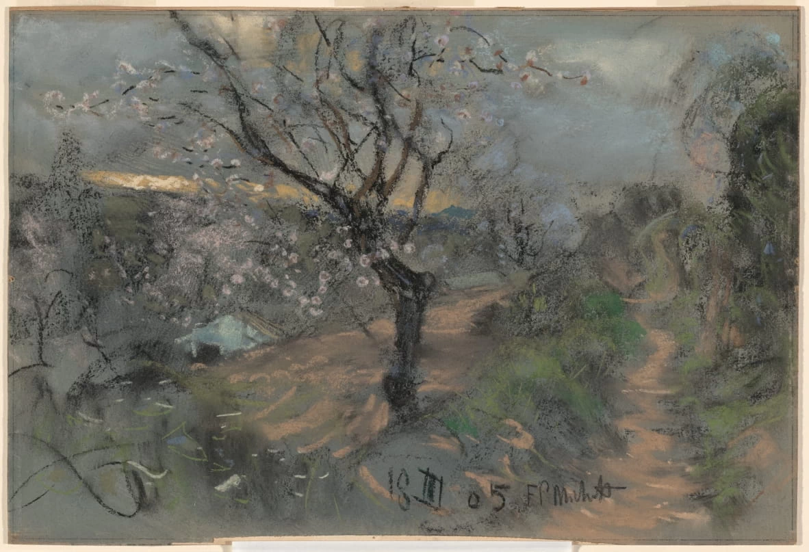 Francesco Paolo Michetti - 220, Un sentiero in collina con ciliegi in fiore, Ailsa Mellon Bruce Fund, National Gallery of Art